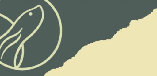 Smjernice za održivo korištenje poljoprivrednih zemljišta sa gnijezdilištima kornjača