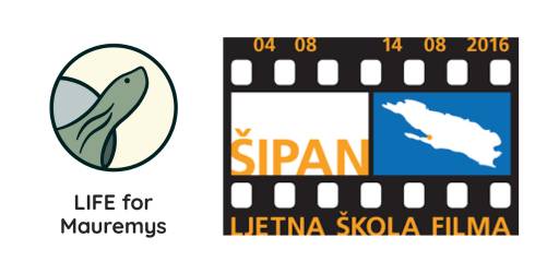 Collaboration with Šipan Summer Film School