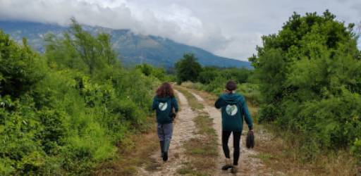 How Do Our Activities Affect Ecosystem Services?